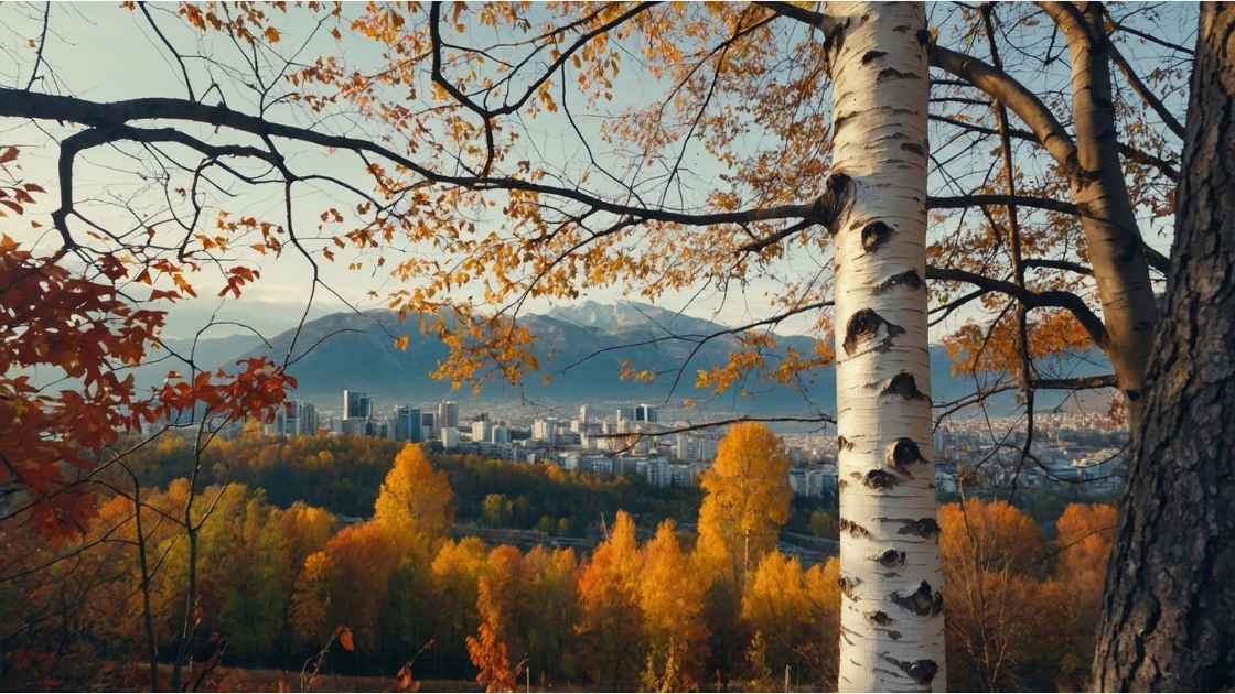 vue grenoble tourbiere du peuil vercors